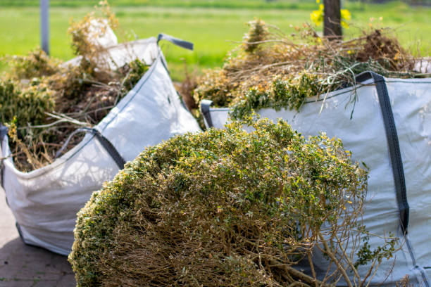 Shed Removal in Muldraugh, KY