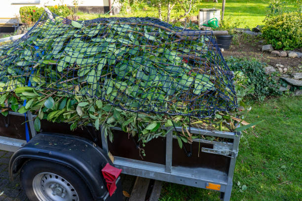 Best Hoarding Cleanup  in Muldraugh, KY